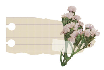 Fototapeta premium Torn notebook checkered paper with dry flower and washi tape on transparent background