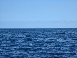 Yacht on the horizon 