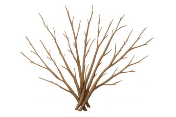 Fototapeta premium Bare winter shrub with dry branches, leafless woody plant, isolated tree on transparent background