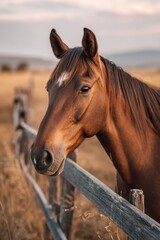 Obraz premium Beautiful brown horse stands gracefully by a wooden fence in a serene countryside setting