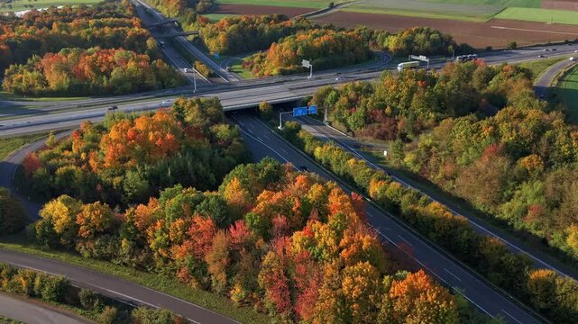 Timelaps of the highway intersection between the colorful autumn trees at dawn