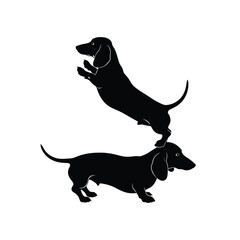 Two dachshund dogs in black silhouette one standing on the other jumping in a white background