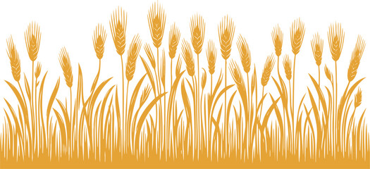 Colorful Barley field horizontal landscape border element vector illustration isolated on a white background