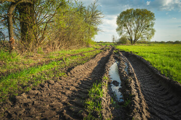 Muddy dirt road with trees and meadow