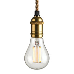 A vintage-style lightbulb hangs from a rope, brass fixture, clear glass revealing filaments