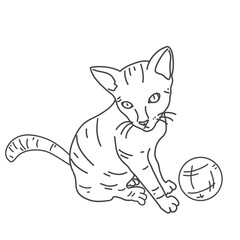 sketch of little cat playing with ball