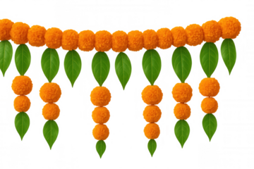 Indian marigold flower and mango leaves garland toran for diwali, hindu festival, and wedding decoration on transparent background