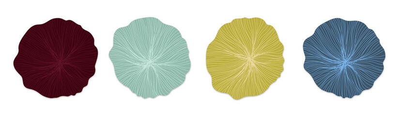 Abstract Colorful Floral Shapes on Black Background