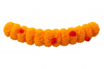Marigold and red flower garland decorating for indian festivals like diwali, navratri, or onam, transparent background