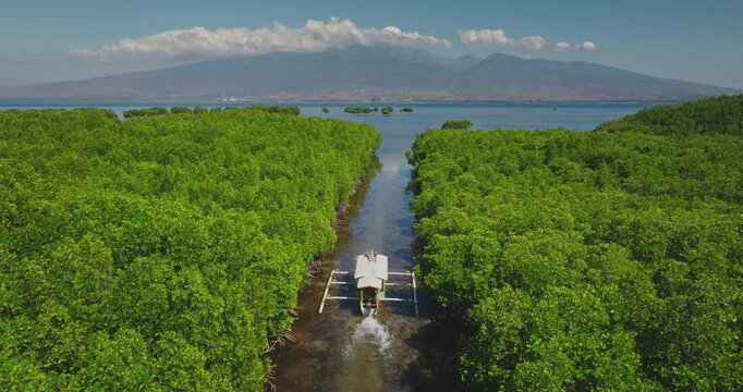 Traditional outrigger boat navigating a narrow channel through dense green mangrove forest, with distant mountains and ocean providing scenic tropical backdrop. East Gili Islands, Lombok. Aerial shot