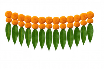 Traditional indian toran featuring vibrant marigold flowers and fresh mango leaves, symbolizing prosperity during festivals like diwali. Transparent background
