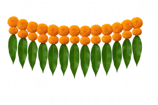 Traditional indian toran featuring vibrant marigold flowers and fresh mango leaves, symbolizing prosperity during festivals like diwali. Transparent background