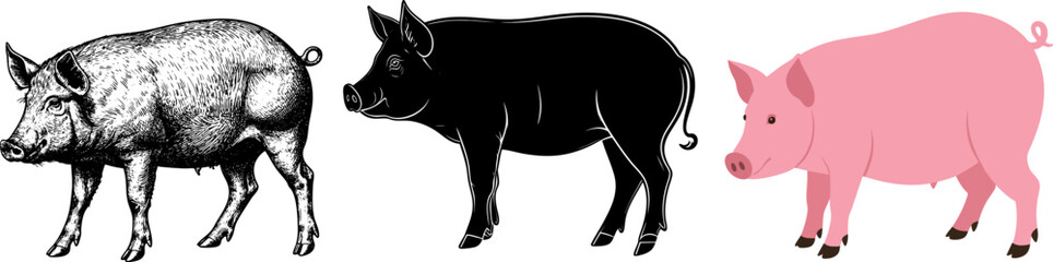 Pig 3 styles vector