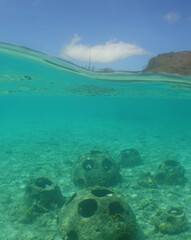 some artificial reef balls on a beach on the island of Curacao