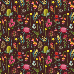 Australia native flowers seamless pattern on dark background. Hand drawn Australian flora botanical elements. Waratah, golden wattle, grevillea, banksia, gum tree leaves watercolor illustration