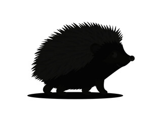 hedgehog on white background
