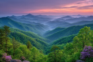 Obraz premium Expansive view of a lush mountainous landscape bathed in soft dawn light revealing serene hills with vibrant foliage and pink flowering plants inspiring tranquility and natural beauty