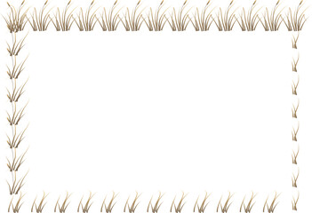 A frame made of grass tufts on a white background.