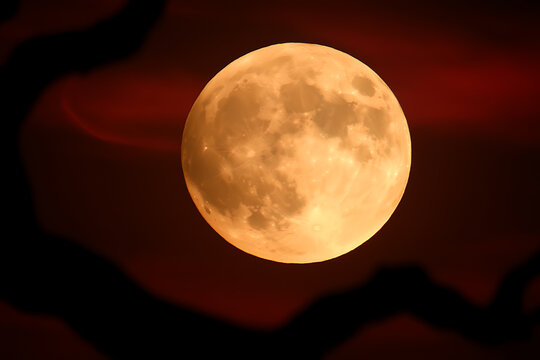 A luminous full moon glows against a dark red sky, silhouetted by the blurred shapes of trees creating a celestial, atmospheric and natural ambiance.
