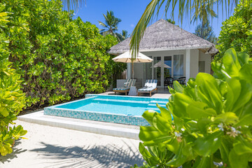 Fantastic private beach villa pool sun beds umbrella palm trees sunny blue sky love couple getaway exotic travel summer holiday destination tropical paradise ocean horizon relaxing resort background