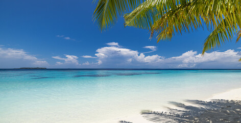 Stunning panoramic summer beach shore exotic island sea sand sky palm trees sunlight ocean horizon paradise scenic nature seascape calm turquoise water relax vacation travel leisure resort background