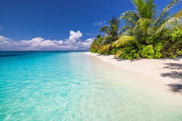 Stunning summer beach shore tropical island sea sand sky palm trees sunlight ocean horizon paradise scenic nature seascape calm turquoise water relax vacation travel leisure tropical resort background