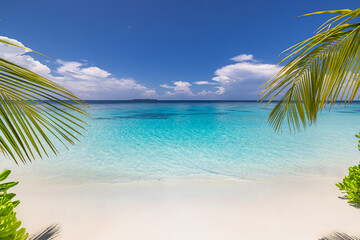 Stunning panoramic summer beach shore exotic island sea sand sky palm trees sunlight ocean horizon paradise scenic nature seascape calm turquoise water relax vacation travel leisure resort background
