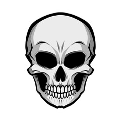 skull vector illustration, Halloween illustration