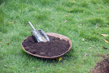 manure or fertilizer in galvanized iron tasla for planting