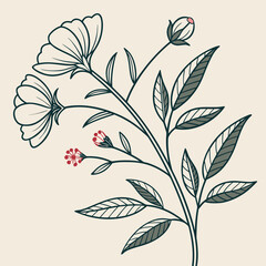 Elegant botanical illustration featuring delicate line art flowers and leaves in a muted color palette on a cream background for decorative design elements