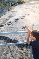 Little child boy playing with a green t-rex toy at the dinosaur fossil footprints site located in Rovereto, Trentino, Italy. vertical shot.