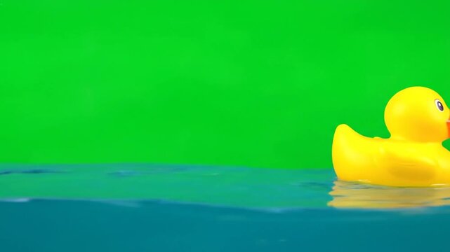 rubber duck in water on green screen