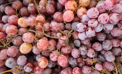 images of various fruits. photos of various grapes.