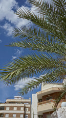Facade of buildings in spain with a mediterranean style under a sunny blue sky and palm leaves in the foreground, showcasing serene architecture and vibrant outdoor atmosphere.