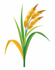 Vector Illustration of Rice or Wheat Crop