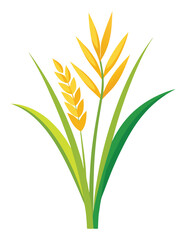 Rice and Wheat Plant Clipart Isolated on White