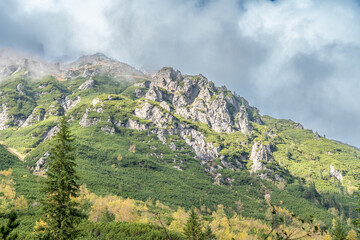 Naklejka premium Green Slopes and Rocky Ridge of the Tatra Mountains in Zakopane, Poland