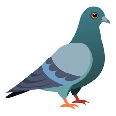 Vector Illustration of Pigeon