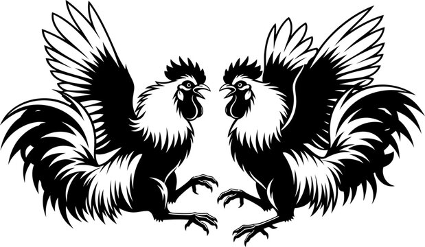 Two fighting roosters with wings spread in an aggressive stance, depicting a battle or challenge. Black and white vector illustration.