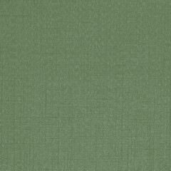 Green canvas textured background