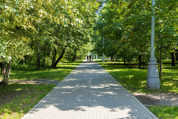 Walkway in public park among  green trees 