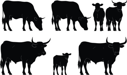 Silhouette vector illustration of cows and calves standing and grazing, domestic farm animals, cattle livestock design for agriculture, rural countryside concept