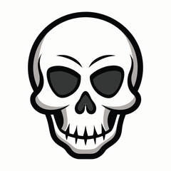 Human Skull Illustration Isolated on White Background