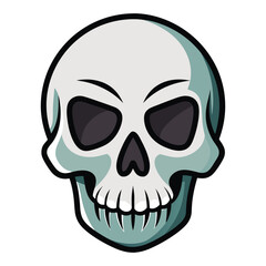 Human Skull Illustration Isolated on White Background