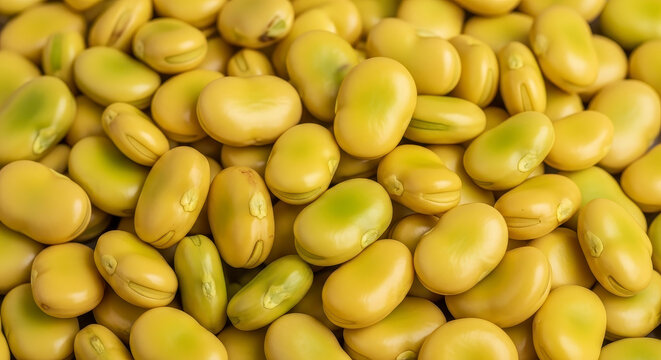 Close-up of fresh lima beans.
