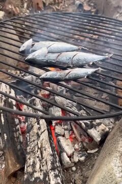 Fresh fish grilling above glowing ember flames.