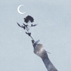 Aesthetic hand shadow, flower illustration