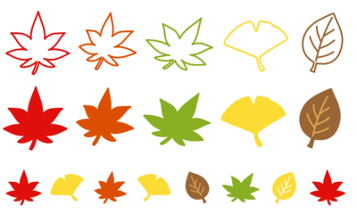 手描きのイラスト,シンプルな秋の葉っぱアイコンセット、紅葉・銀杏・もみじ（背景透過・PNG形式・塗りあり・Background Transparency）/Simple Line Autumn Leaf / 