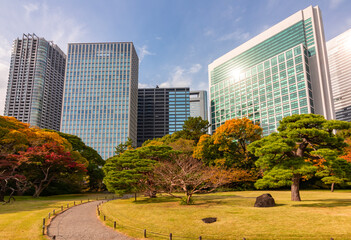 Obraz premium Hamarikyu gardens with Shiodome skyscrapers at background in autumn, Tokyo, Japan