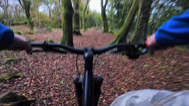 POV mountain biking in Barna Woods Galway Ireland, extreme sports adventure, forest trail cycling, outdoor recreation, nature fitness lifestyle footage.